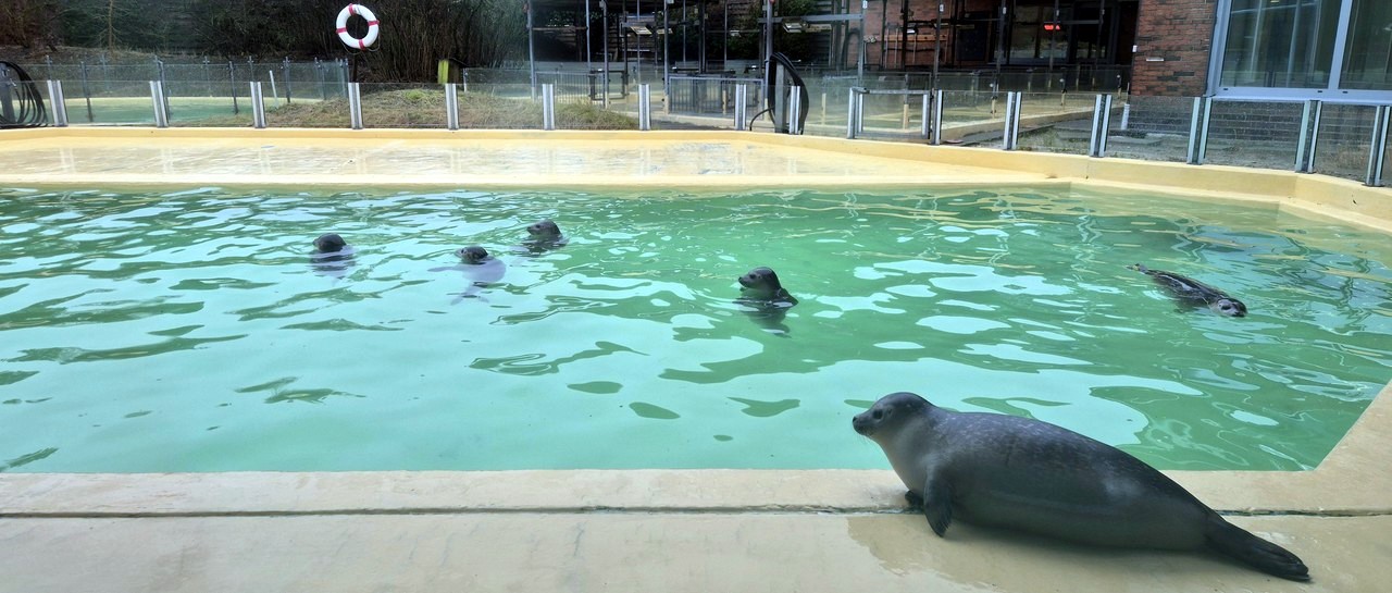 Norddeich - Februar 2026